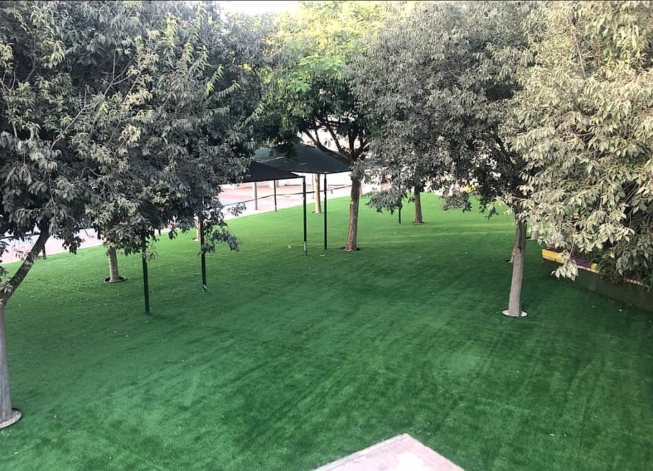 דשא ארבל בשטח ציבורי עם עצים